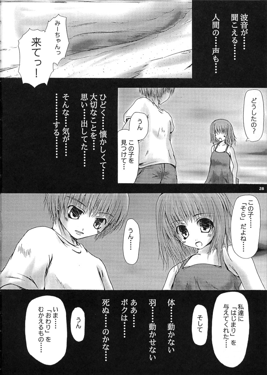 (C62) [Lily Heart (山口弘春)] SUMMER PLANET -Meeting On This Planet- (AIR)