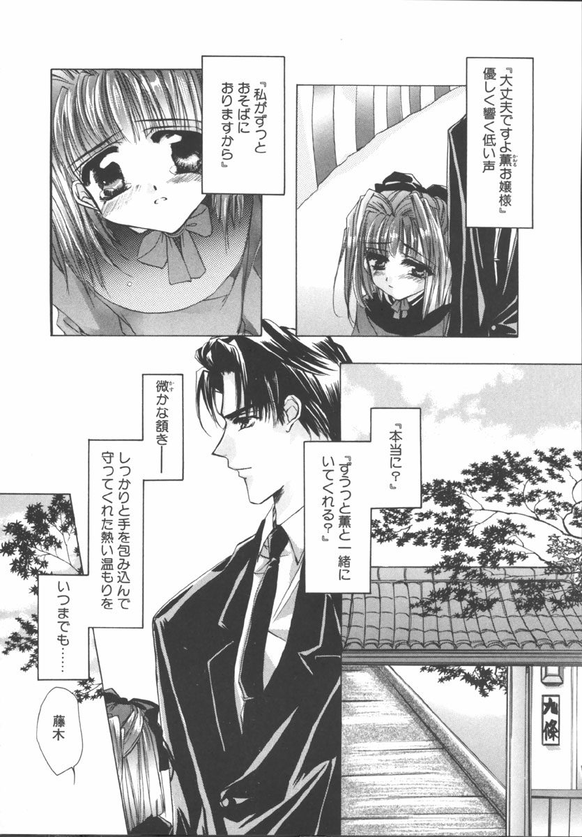[桜井綾] マイ スウィート プラム