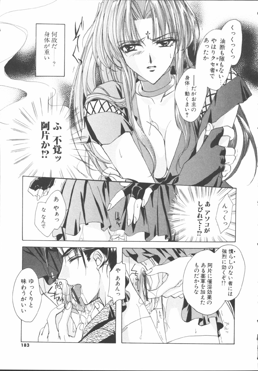 [桜井綾] マイ スウィート プラム