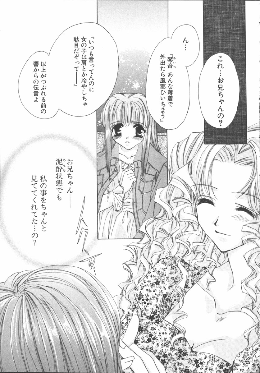 [桜井綾] マイ スウィート プラム