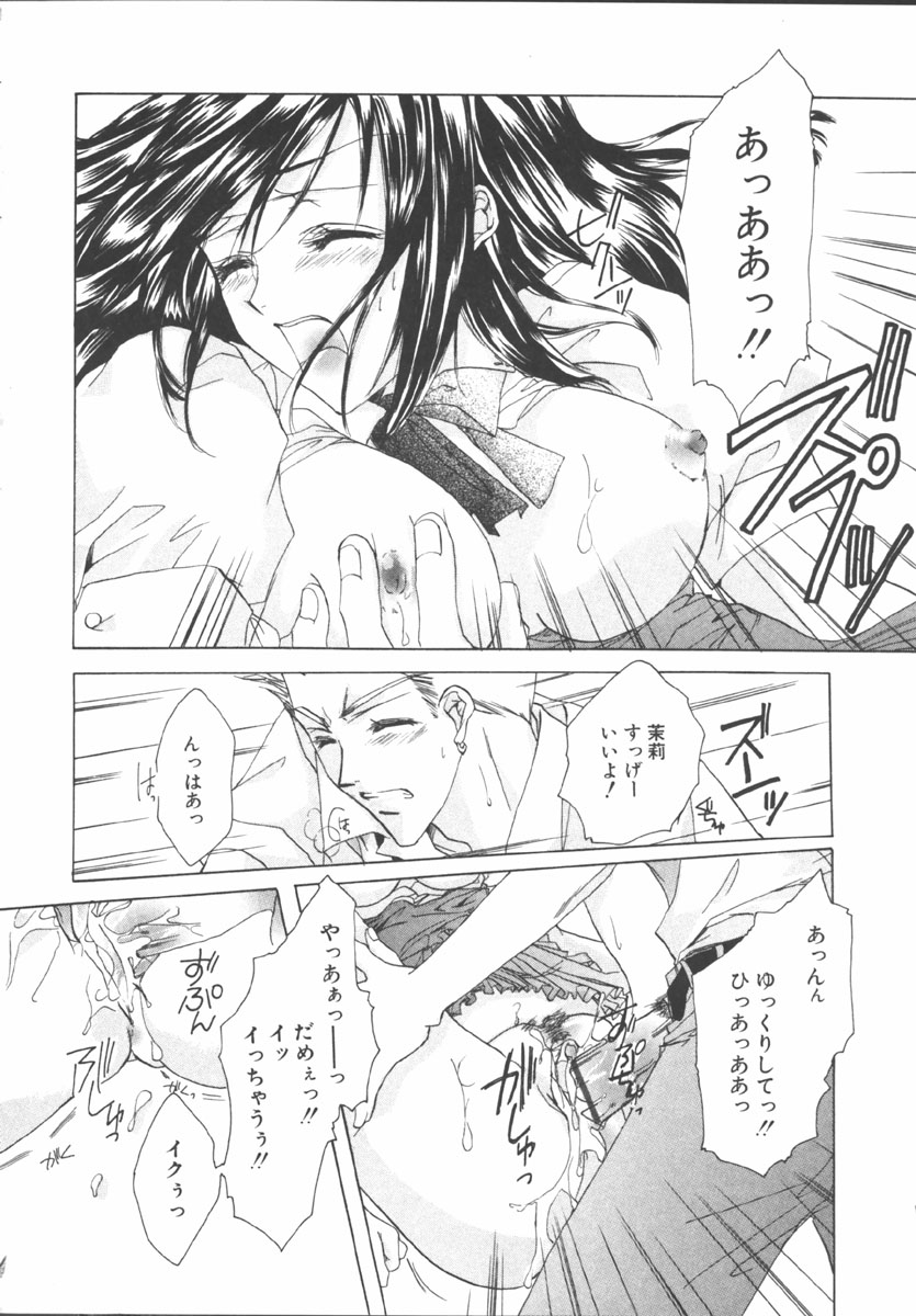 [桜井綾] マイ スウィート プラム