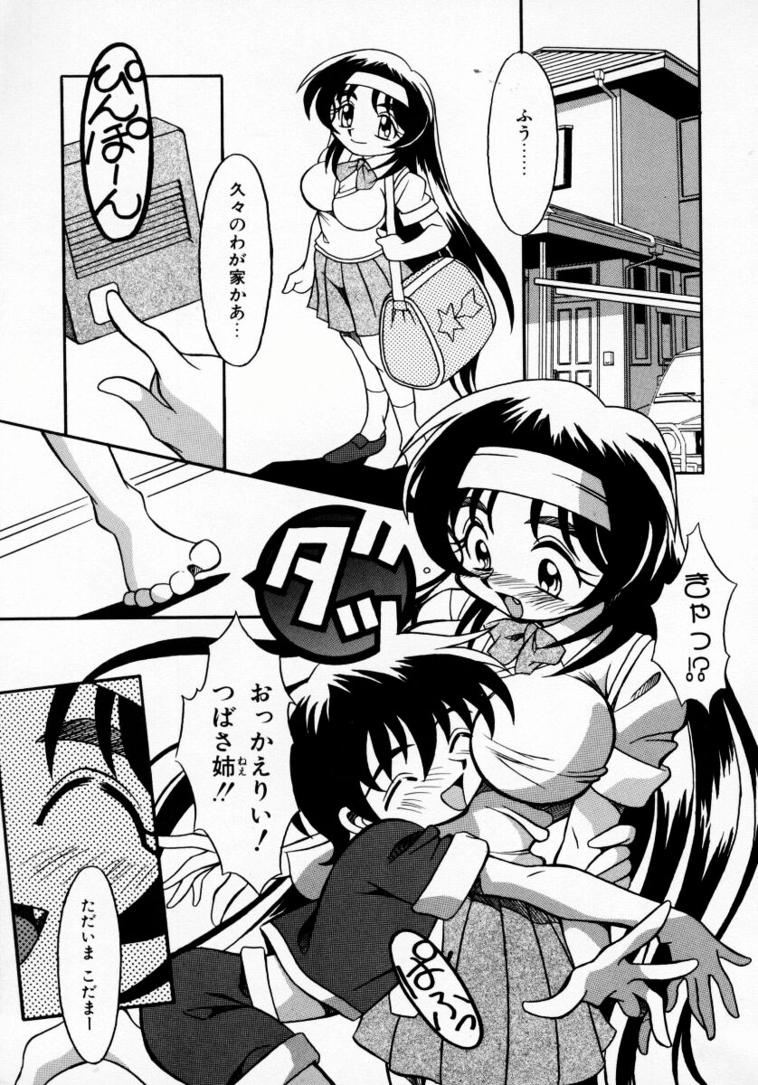 [八重田なぐも] 堕天娼館