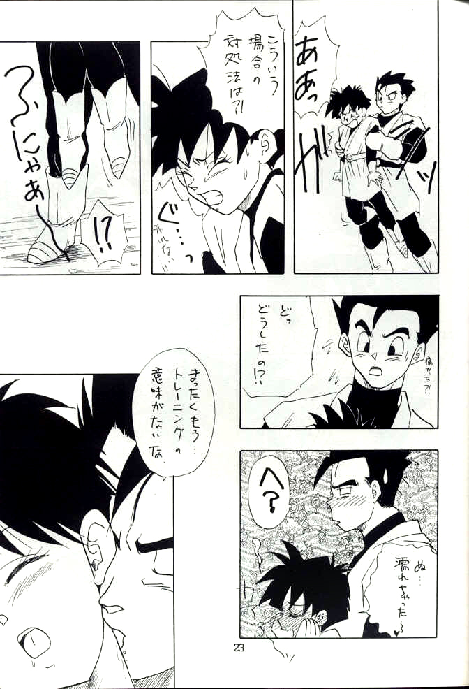 [ちり紙小屋, ふすま御殿 (障子張子)] YYY (ドラゴンボール)