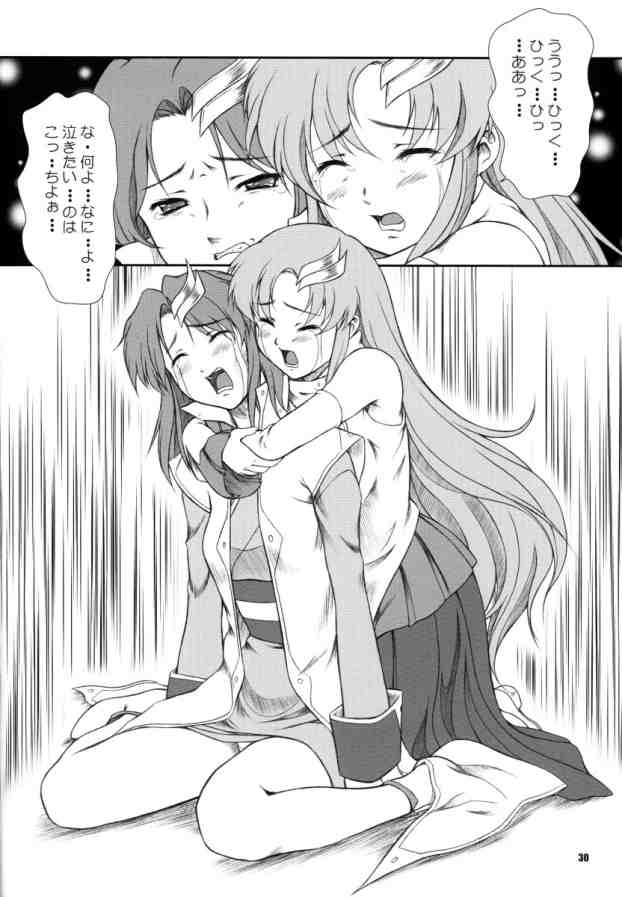[御伽屋 (三月春人)] BATTLE OF TWINS～結末の絆～ (機動戦士ガンダムSEED)