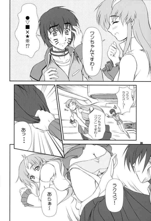 [御伽屋 (三月春人)] BATTLE OF TWINS～結末の絆～ (機動戦士ガンダムSEED)