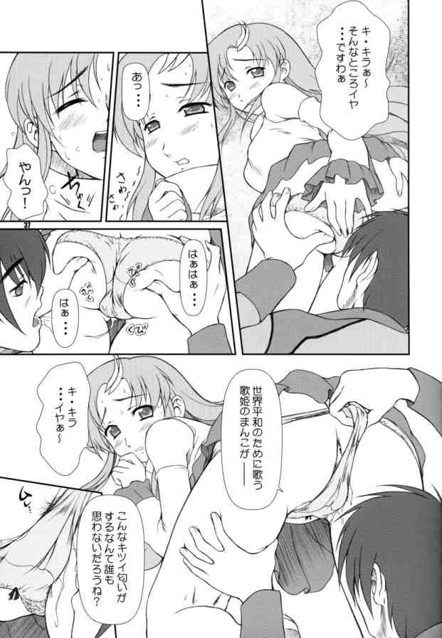 [御伽屋 (三月春人)] BATTLE OF TWINS～結末の絆～ (機動戦士ガンダムSEED)