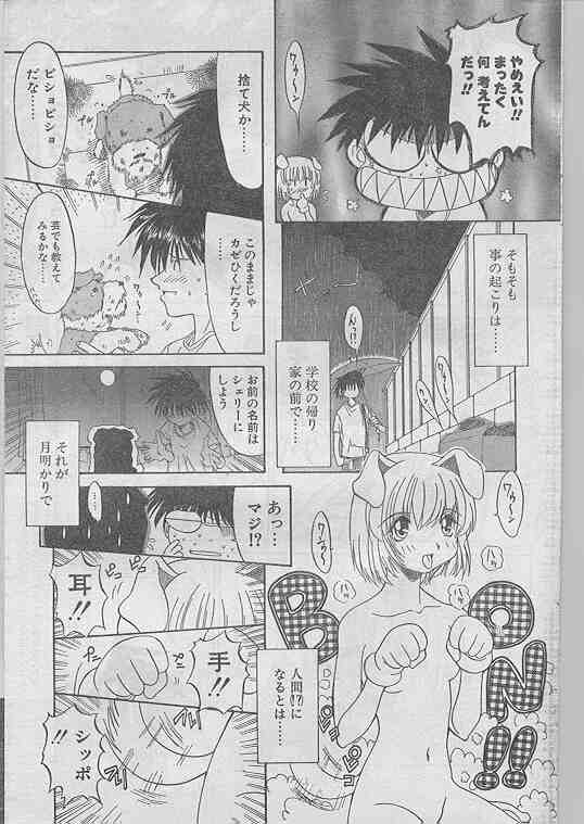 COMIC パピポ 1998年07月号