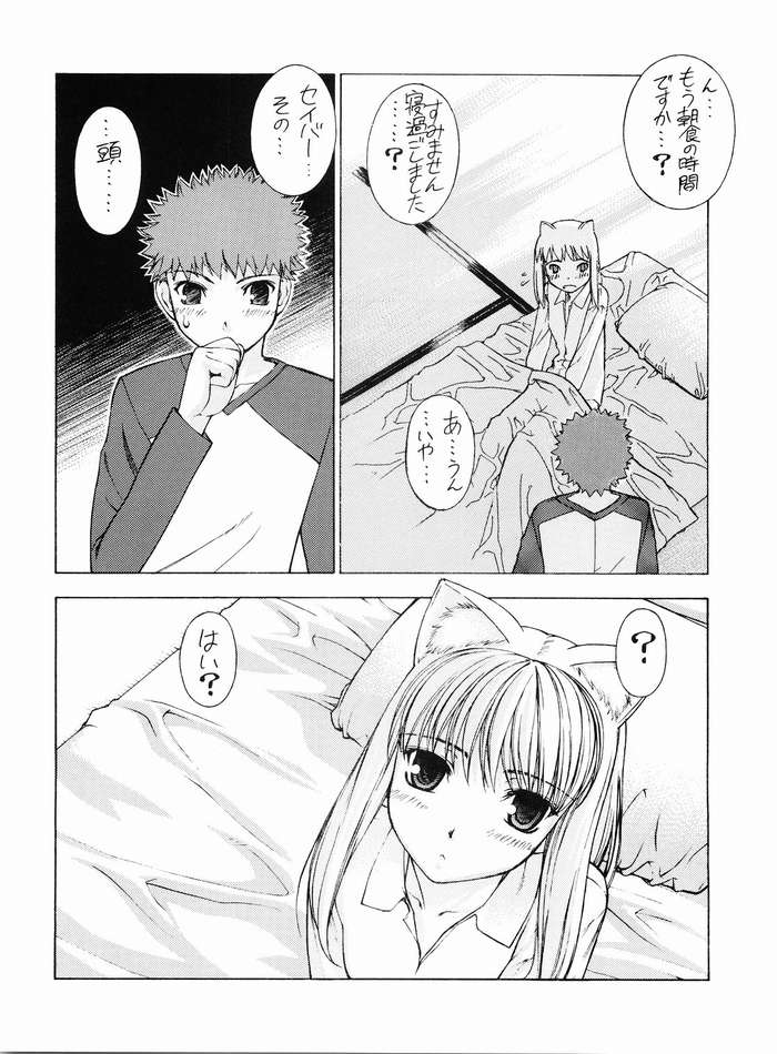 (C67) [さなづら同人誌発行所 (さなづらひろゆき)] ねこみみFate (Fate/stay night)