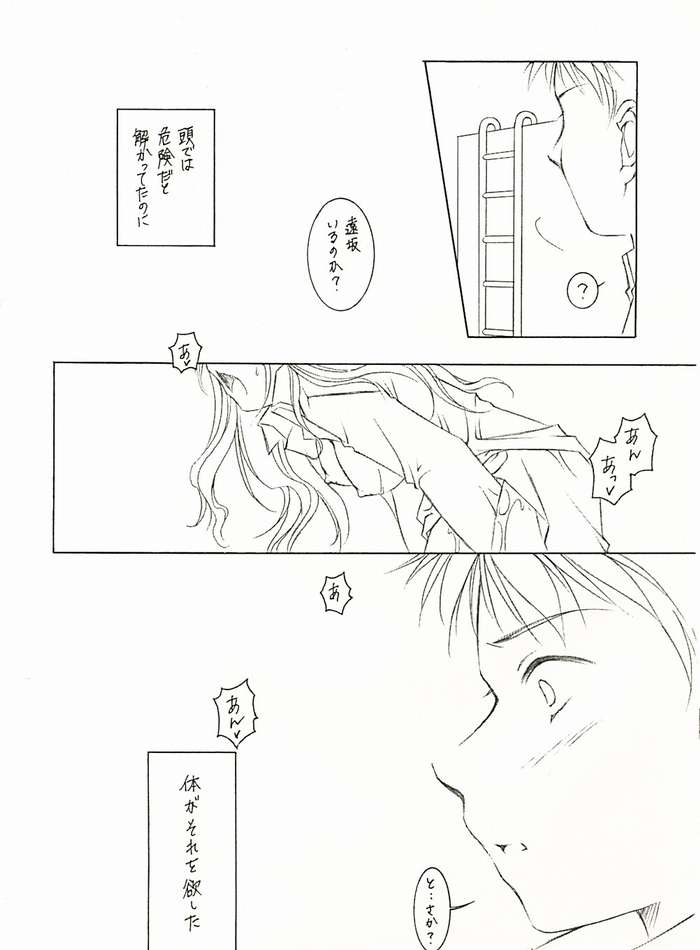 (Cレヴォ35) [INFORMATION HIGH (YOU)] えす・いー・えっくす (Fate/stay night)