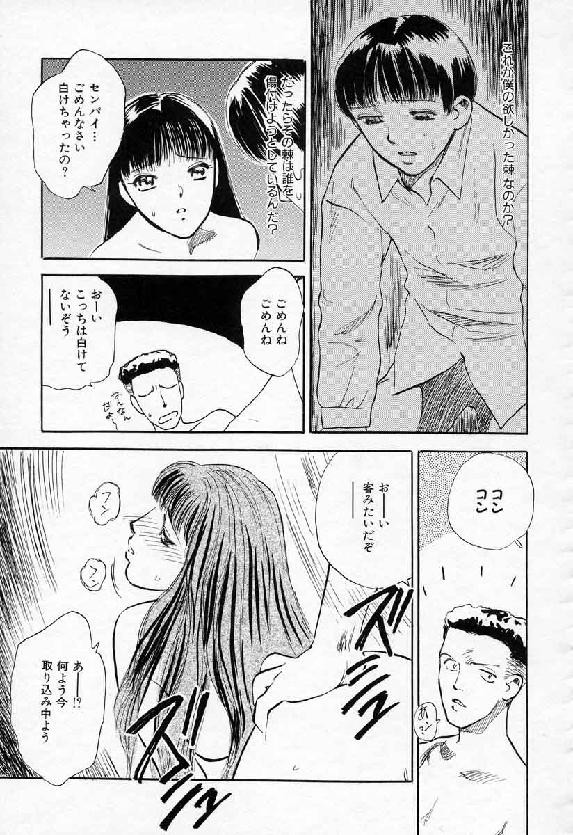 [天竺浪人] 薊の子ら 2