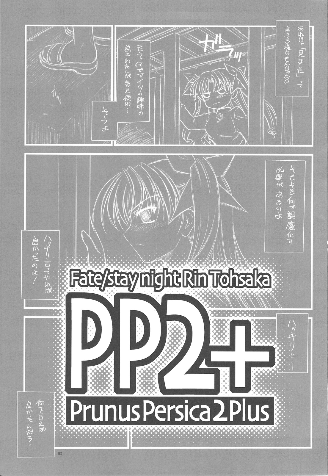 (C75)[夜間飛行 (いのうえとみい)] PP2+ (Fate)
