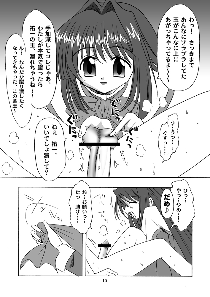 (C63) [エムサイズ (りうむ)] セメカノン (カノン)