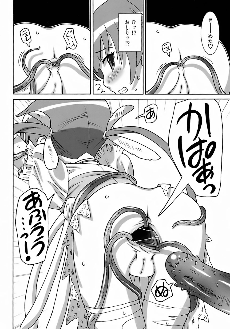 [ホーミング] 聖翼姫闘 セイントフェザー