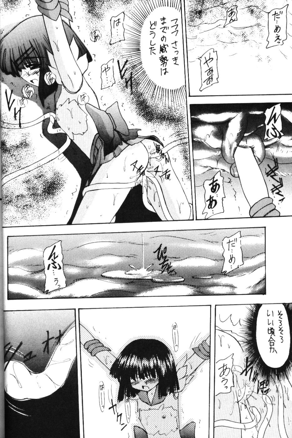 [浅野屋] 蛍VI (セーラームーン)