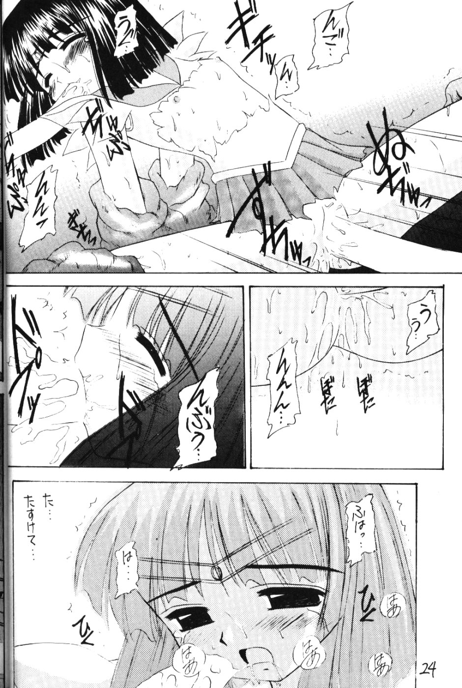[浅野屋] 蛍VI (セーラームーン)