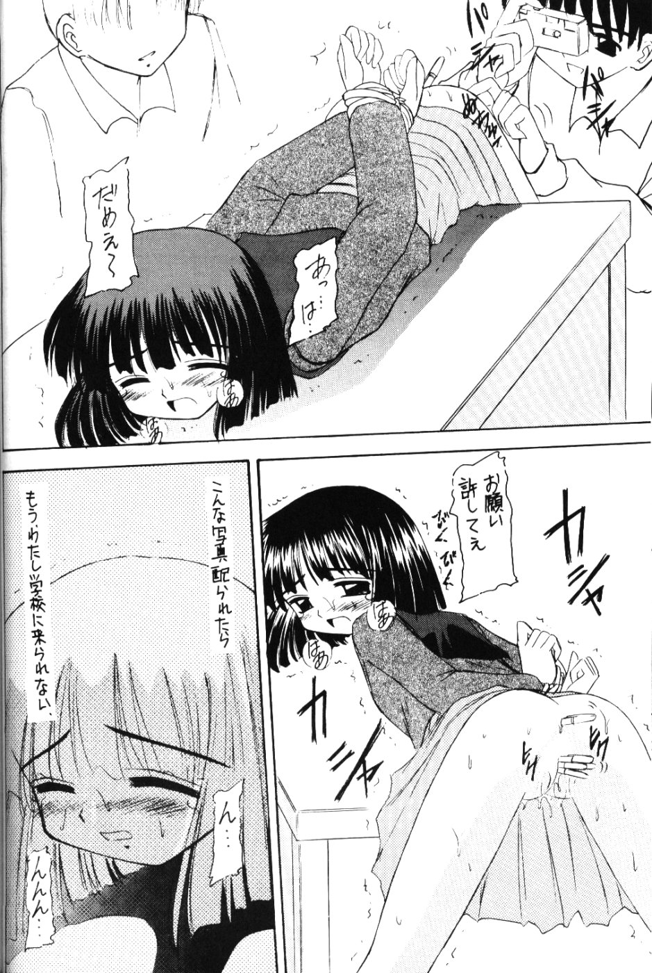 [浅野屋] 蛍VI (セーラームーン)