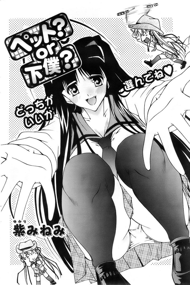 COMIC パピポ 2007年12月号