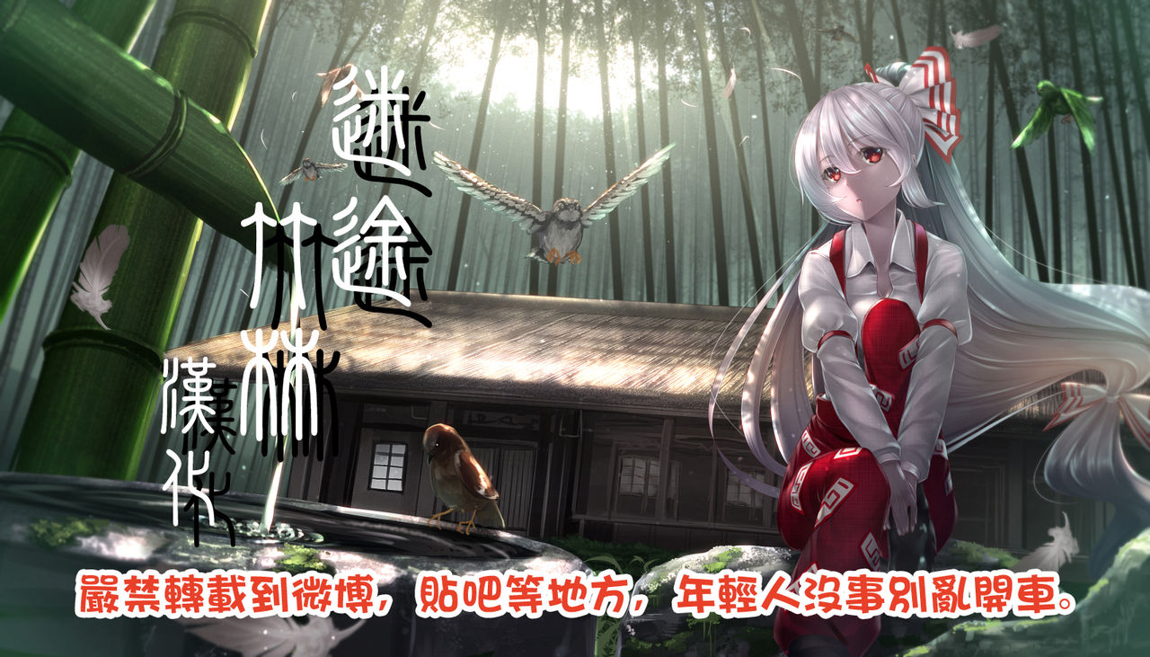 (例大祭15) [こかつ畑 (雨小雨)] ポロリdeフラン! (東方Project)
