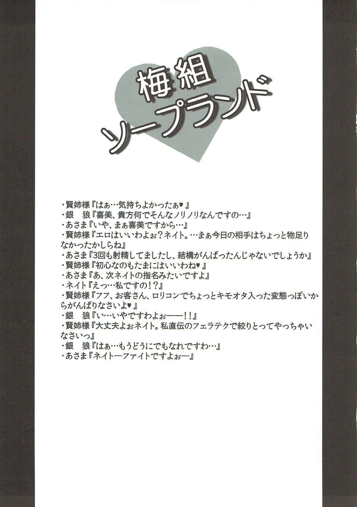 (第3回近しき親交のための同人誌好事会) [ゆあさ連合 (ジャン・ルイ)] 梅組ソープランド (境界線上のホライゾン)