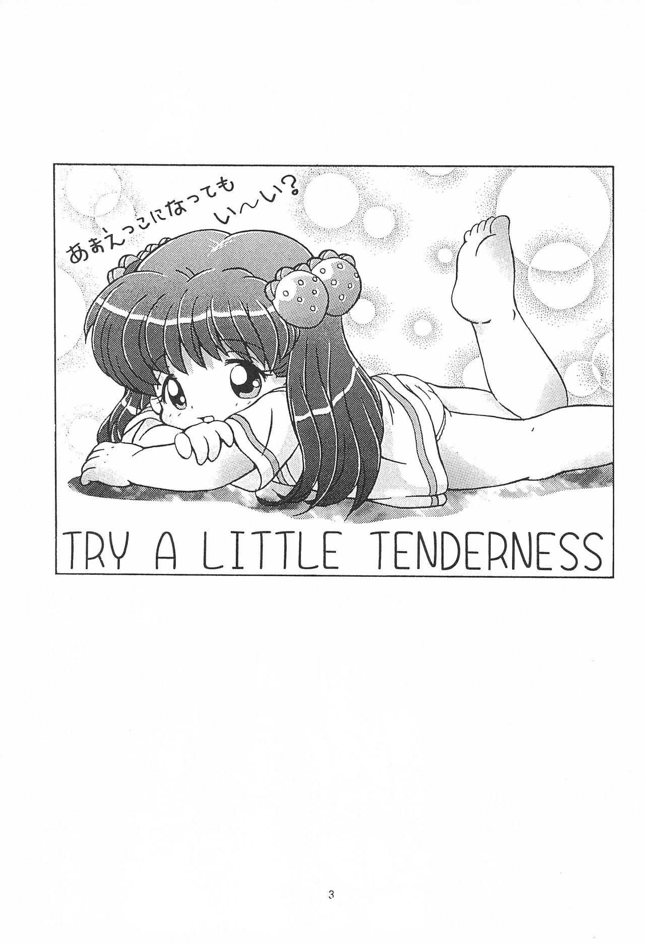 [Log House (戦艦大和煮)] TRY A LITTLE TENDERNESS
