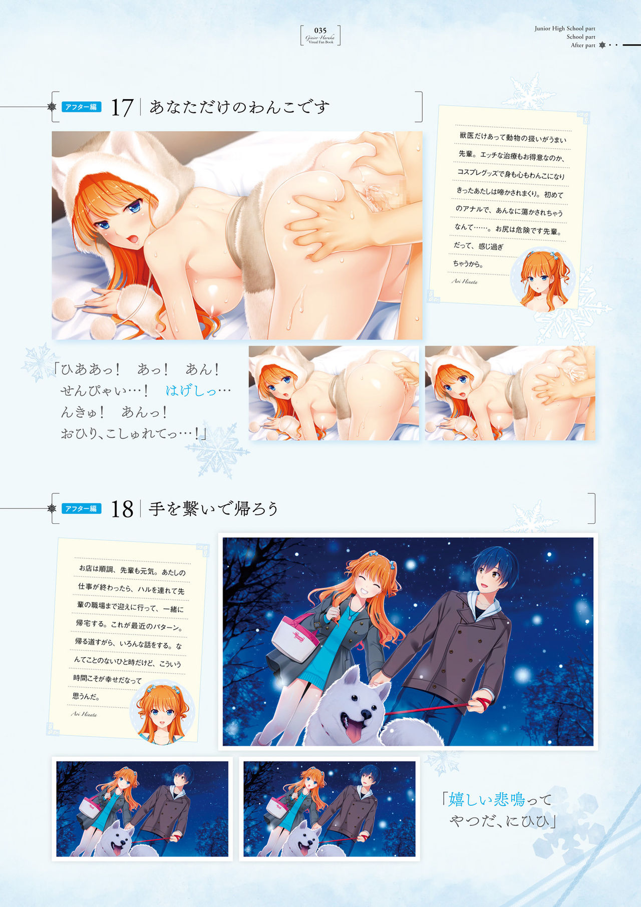 銀色、遥か ビジュアルファンブック Dl版