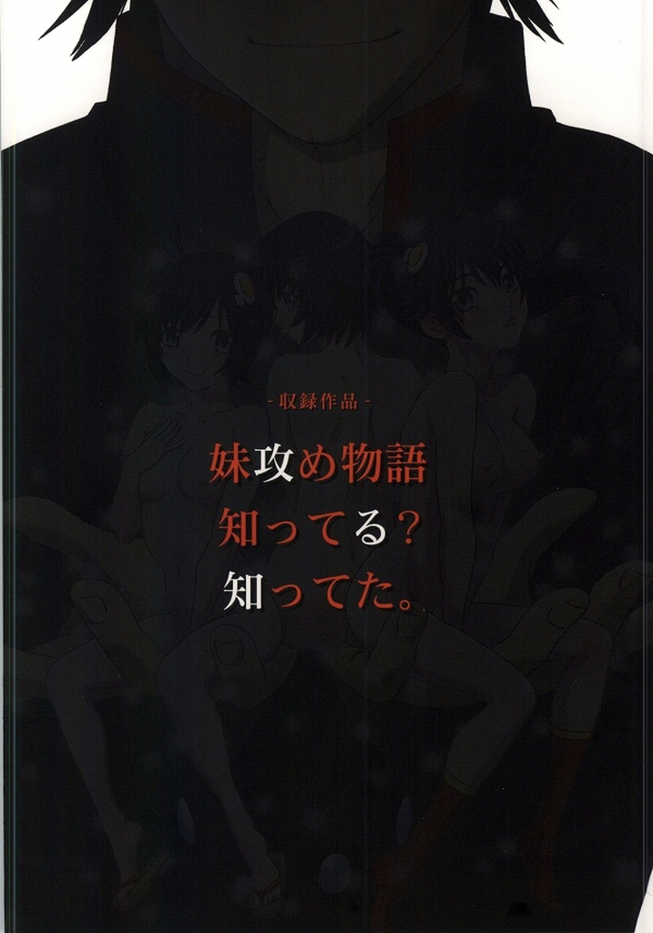 (C86) [STUDIO PAL (南野琴)] まとめた物語・壱 (化物語)