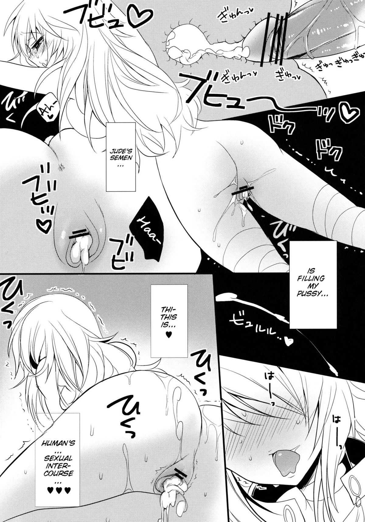 (サンクリ53) [おとな出版 (ひつじたかこ)] fairy's SEX (テイルズ オブ エクシリア) [英訳]