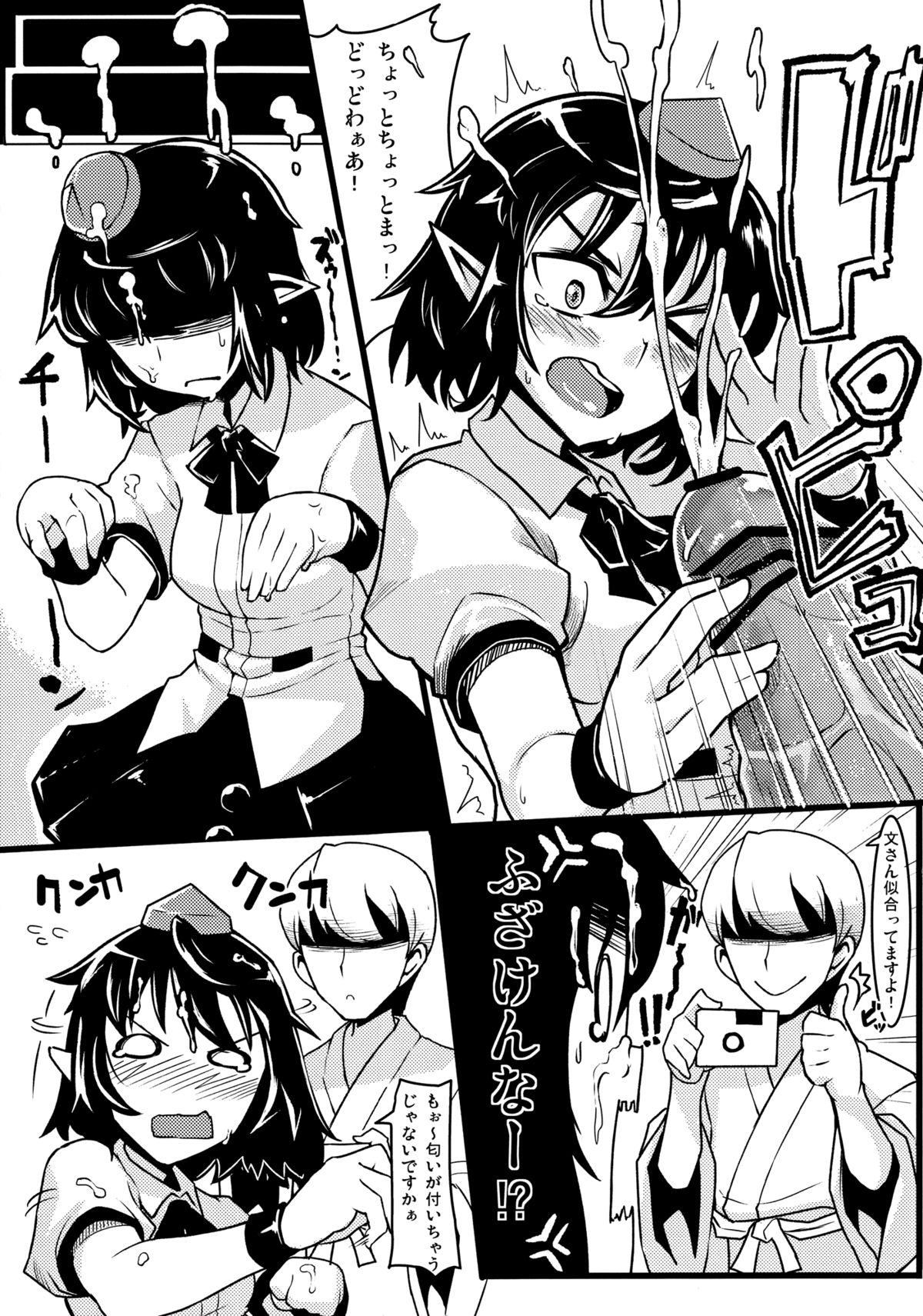 (例大祭10) [あろまガエル×たけ家 (ヌマハナ, 竹虎スズメ)] ごこくほーじょー☆ (東方Project)