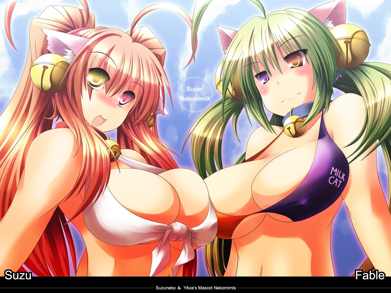 [Rie-X.com (YAce)] SoftPrincces extend