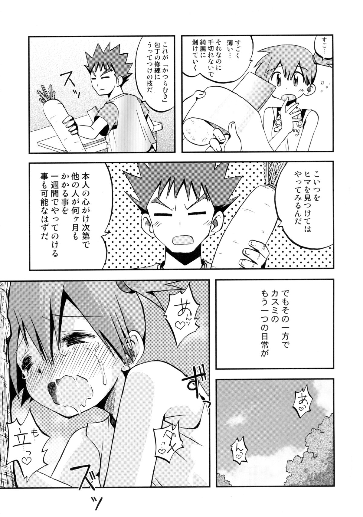 (C82) [うっかり堂 (島津いさみ)] ことばにすればきえてしまいそうなゆめ (ポケットモンスター)