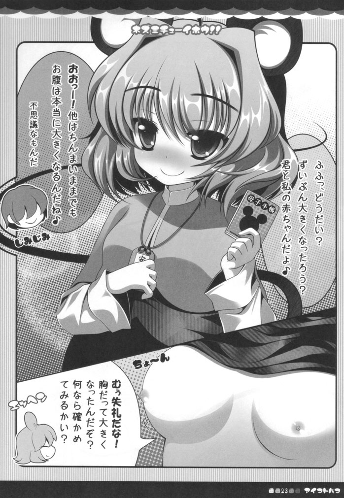 (みみけっと 23) [アイコトバコ (ごりやく)] ネズミチューイホウ！！(東方Project)