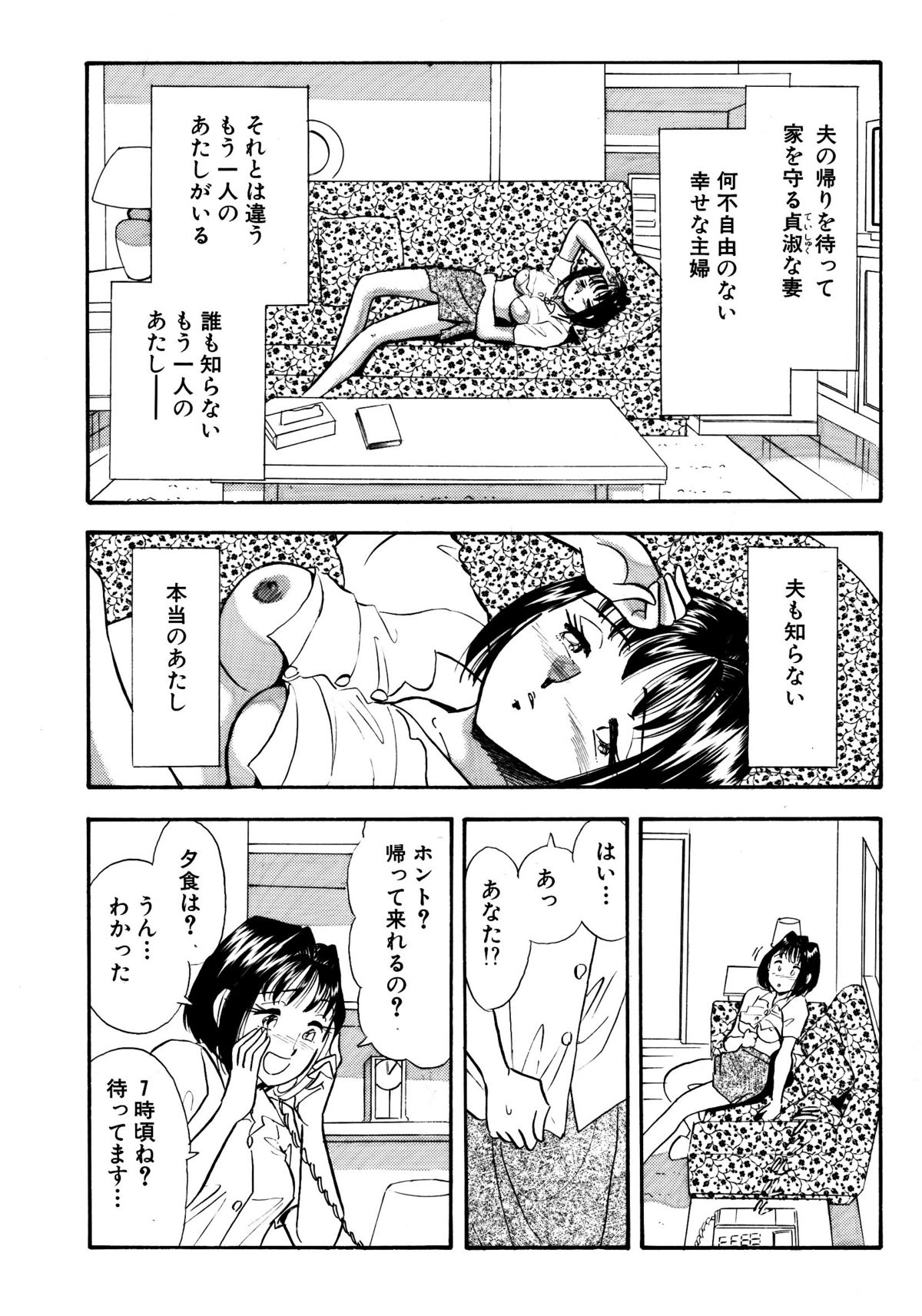 [丸美企画] ひみつ妻5