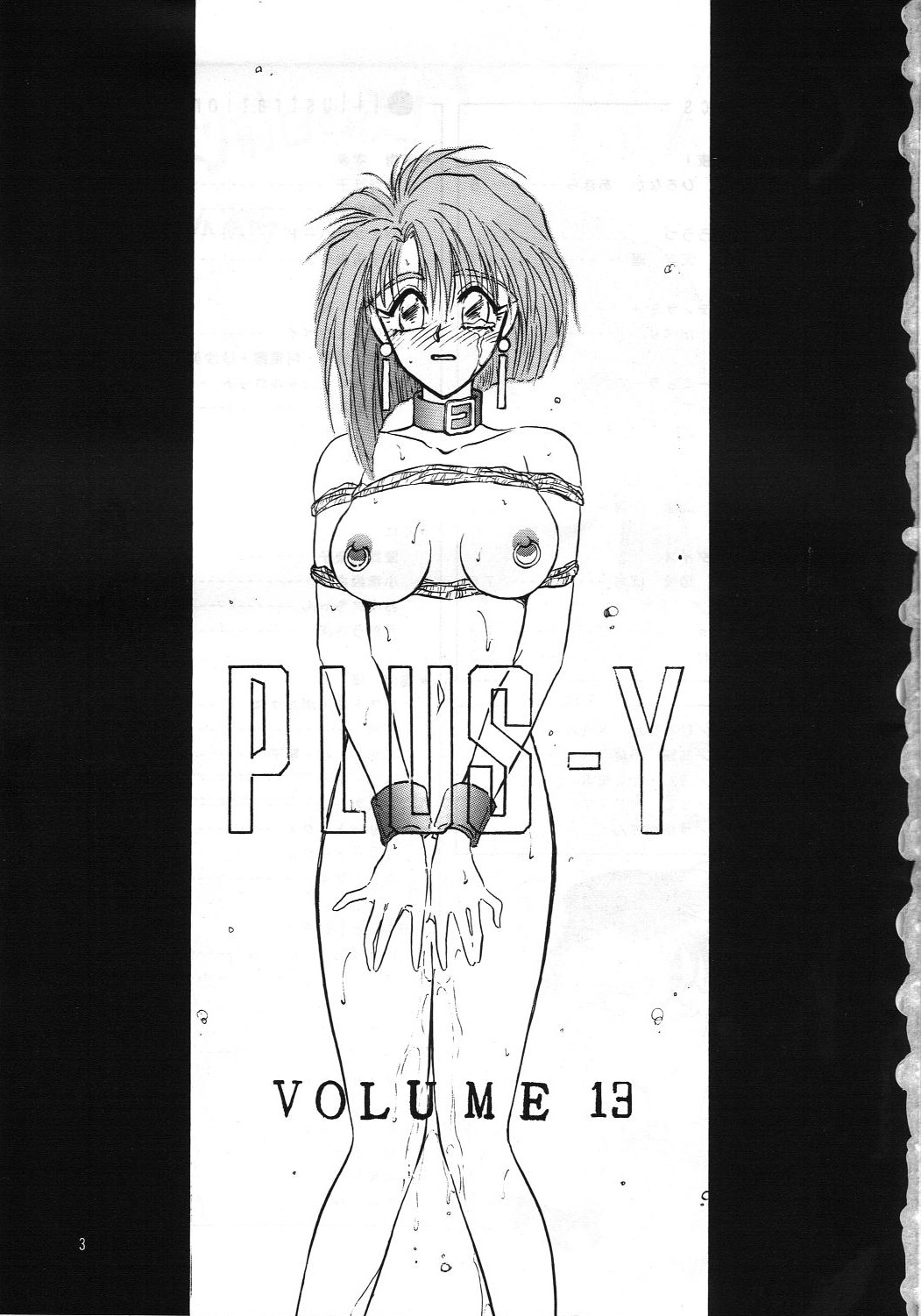 (C45) [チームプラスY] PLUS-Y Vol.13 (ああっ女神さまっ)