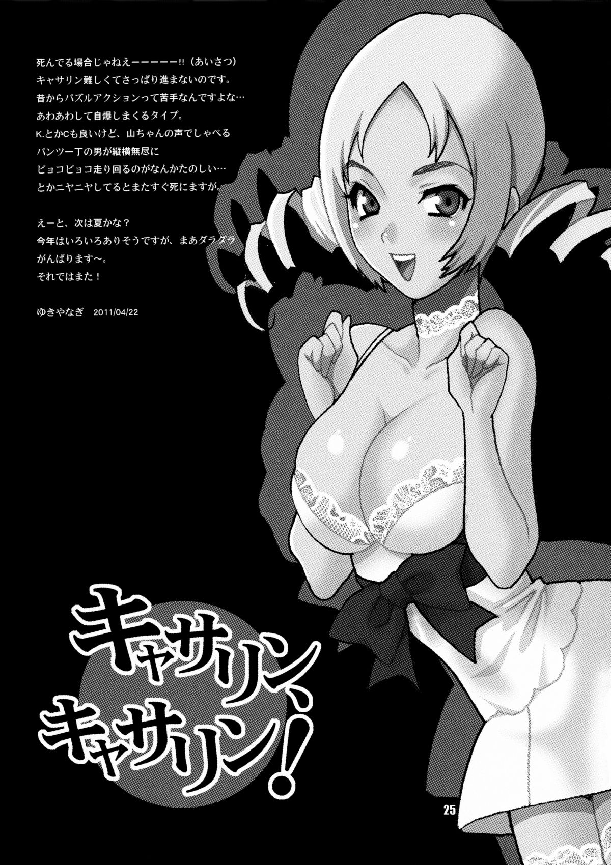 (COMIC1☆5) [シャルロット・ココ (ゆきやなぎ)] ゆきやなぎの本 25 キャサリン、キャサリン! (キャサリン) [英訳]