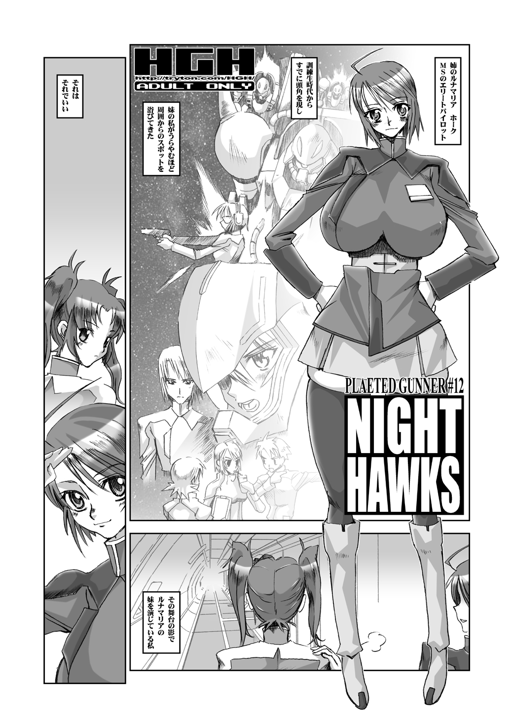 [HGH (HG茶川)] NIGHT HAWKS QUADRILOGY (機動戦士ガンダムSEED DESTINY) [DL版]