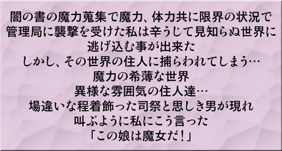 [しっぽ番長] 魔法少女なのⅣ製品版 (魔法少女リリカルなのは)