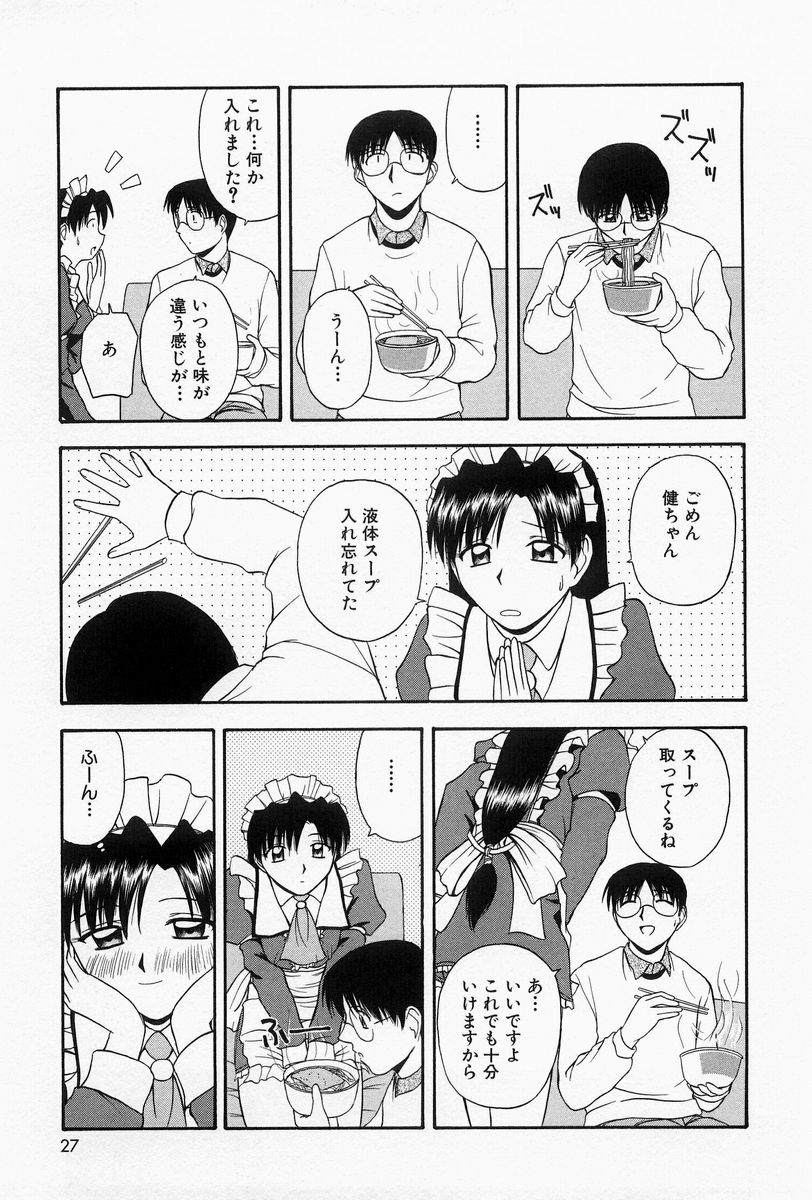 [佐藤茶菓子] ほーむめいどしすたーず