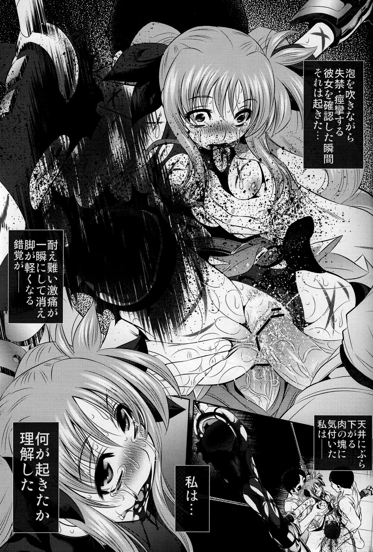 (C77) [有害図書企画 (たなかなぶる)] 拷問館 菜っ葉篇 (魔法少女リリカルなのは)