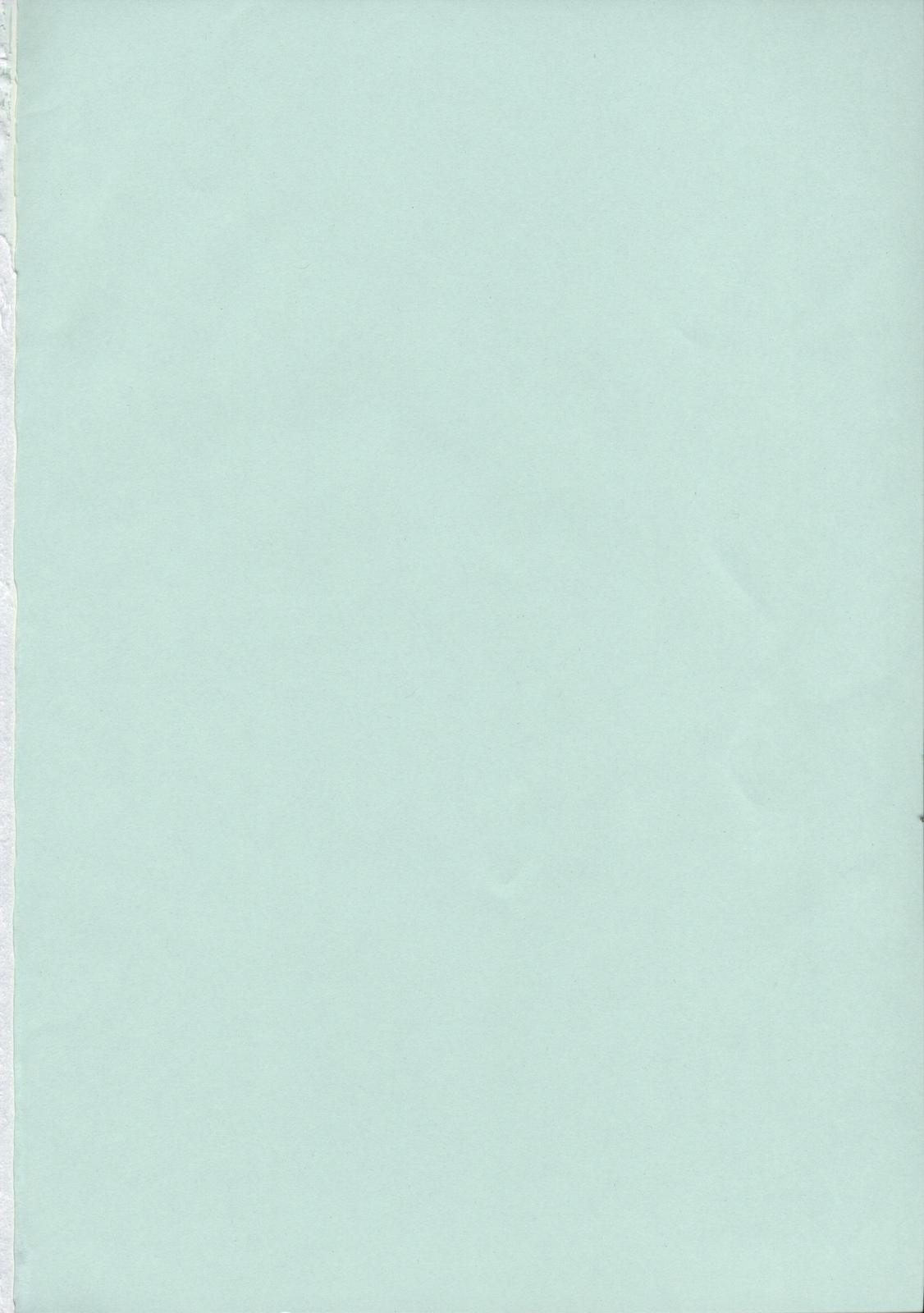 (C71) [シャルロット・ココ (ゆきやなぎ)] ゆきやなぎの本 13 レイナの絶頂コロシアム (クイーンズブレイド)