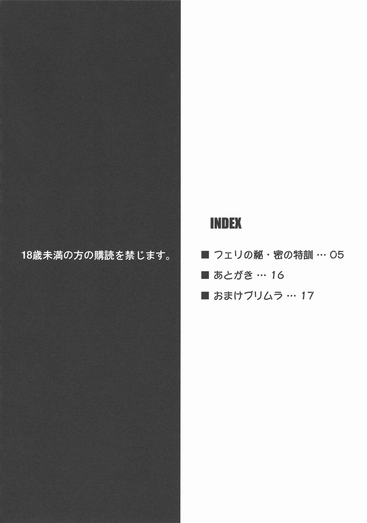 (COMIC1☆3) [Nirvana Soft (ひろにい)] フェリの秘•密の特訓 (鋼殻のレギオス)