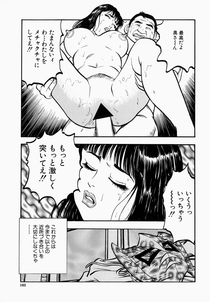 [宝耕介] 一夜妻