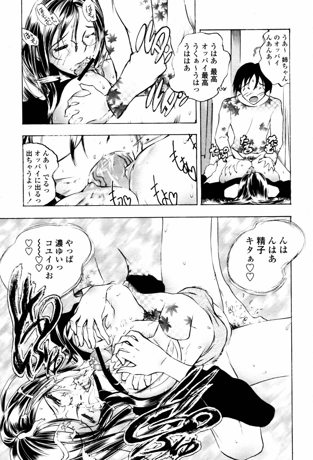 COMIC 桃姫 2007年06月号