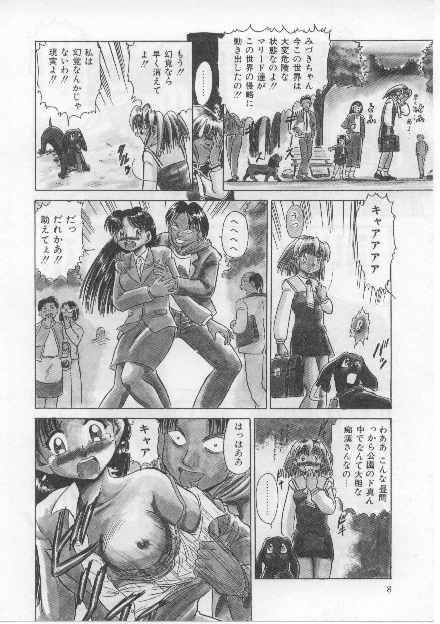 [深紫'72] セイント・シャワー