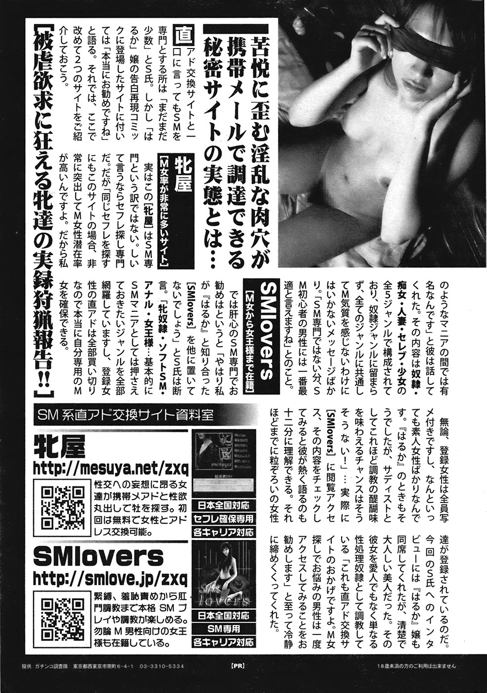 COMIC プルメロ 2008年11月号 vol.23