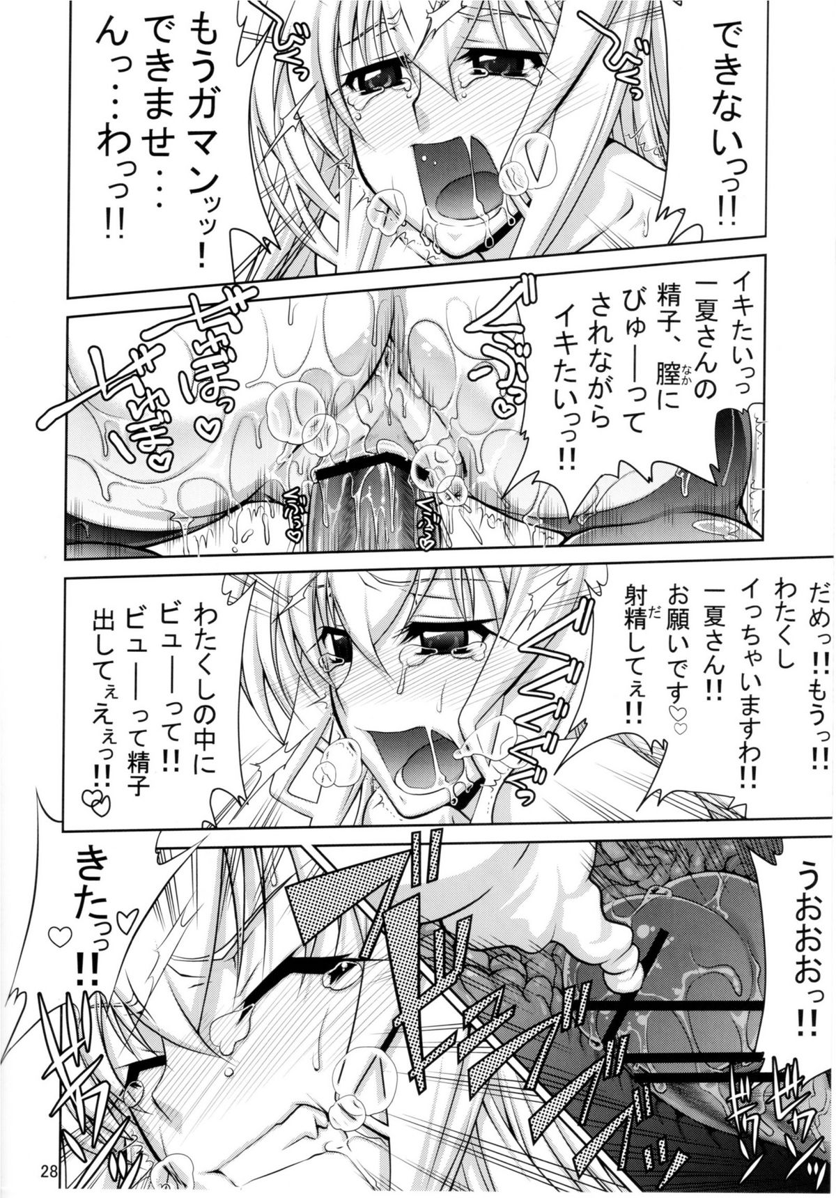 (COMIC1☆5) [Gold Rush (鈴木あどれす)] IS (インフィニット・ストラトス)