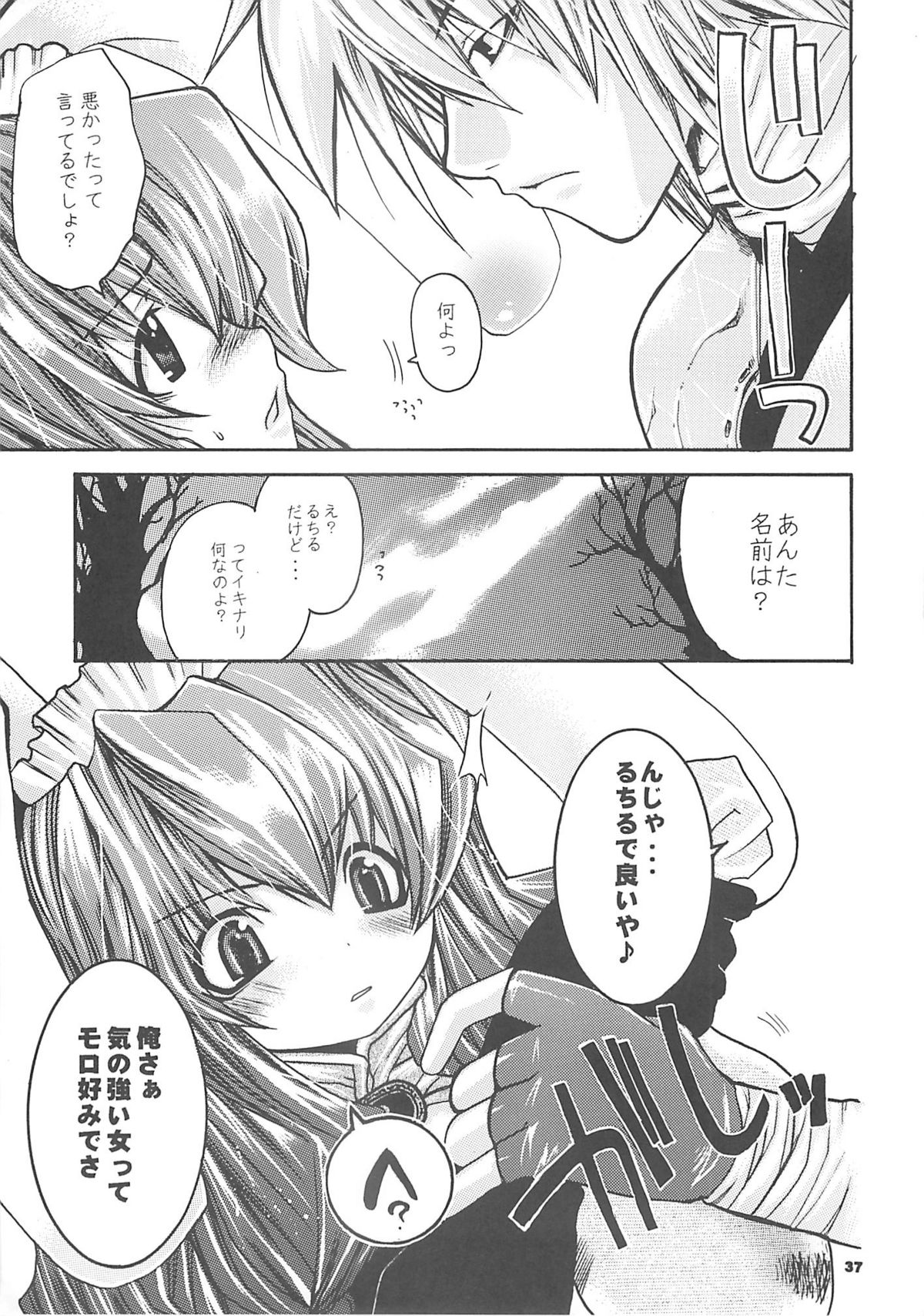 [西南西ニ輝ケル星] 夜話これ。 (ラグナロクオンライン)