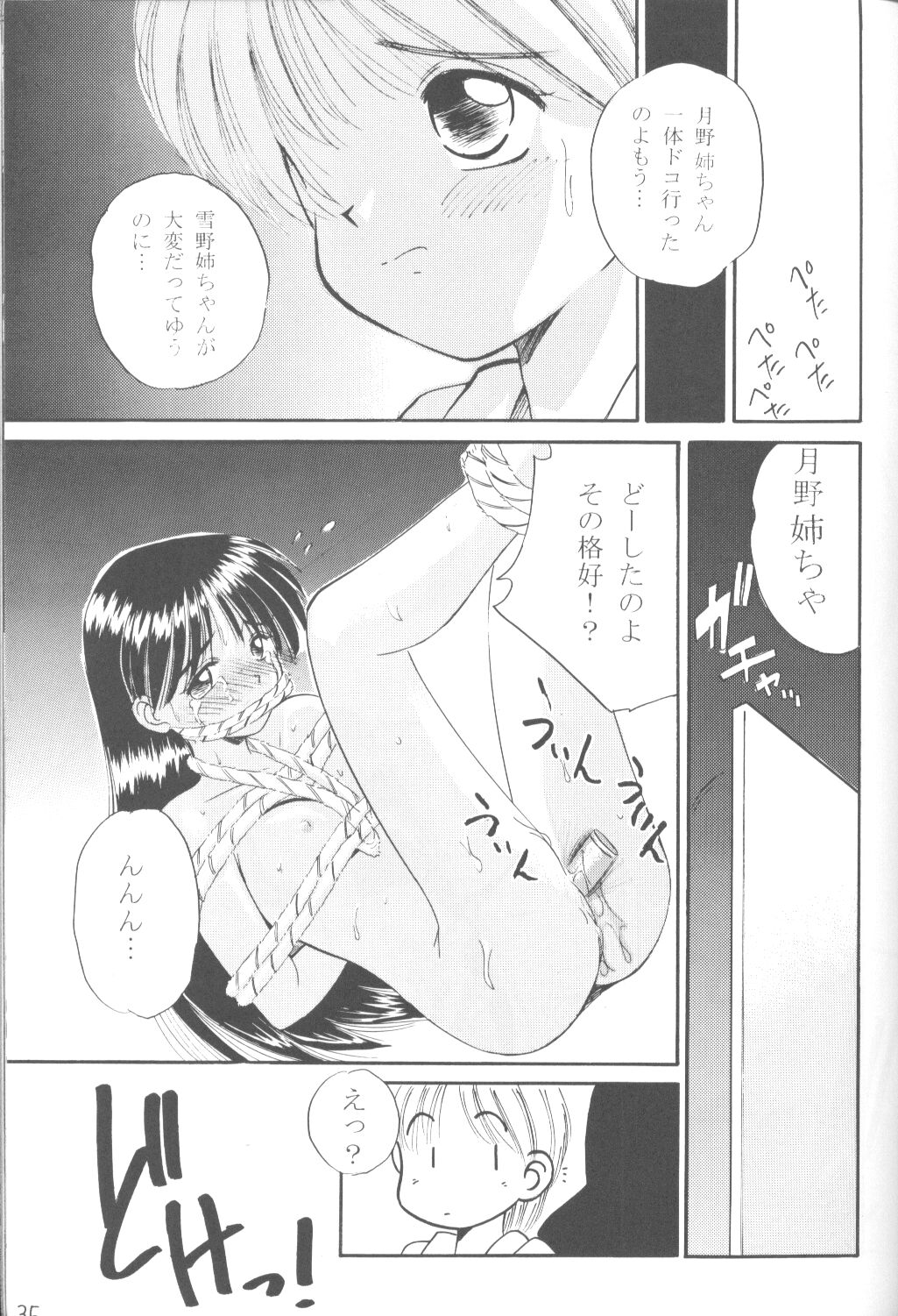 (C55) [M.R プロダクツ (鉄輪、まるごと林檎)] ファンシア育成日記 (彼氏彼女の事情)