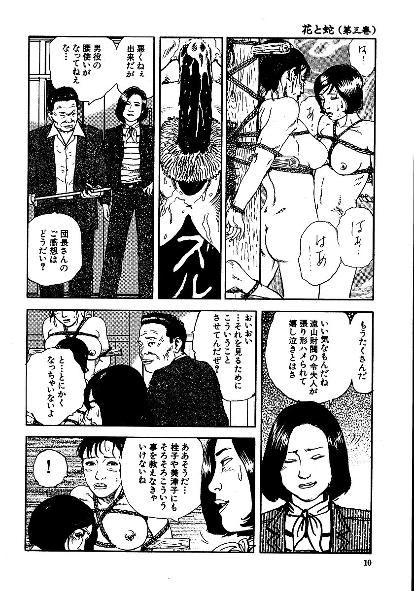 [長田要, 団鬼六] 花と蛇 第三集