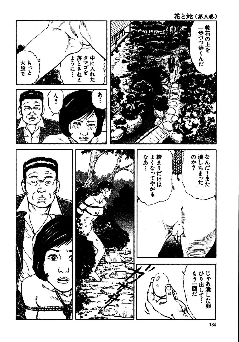 [長田要, 団鬼六] 花と蛇 第三集