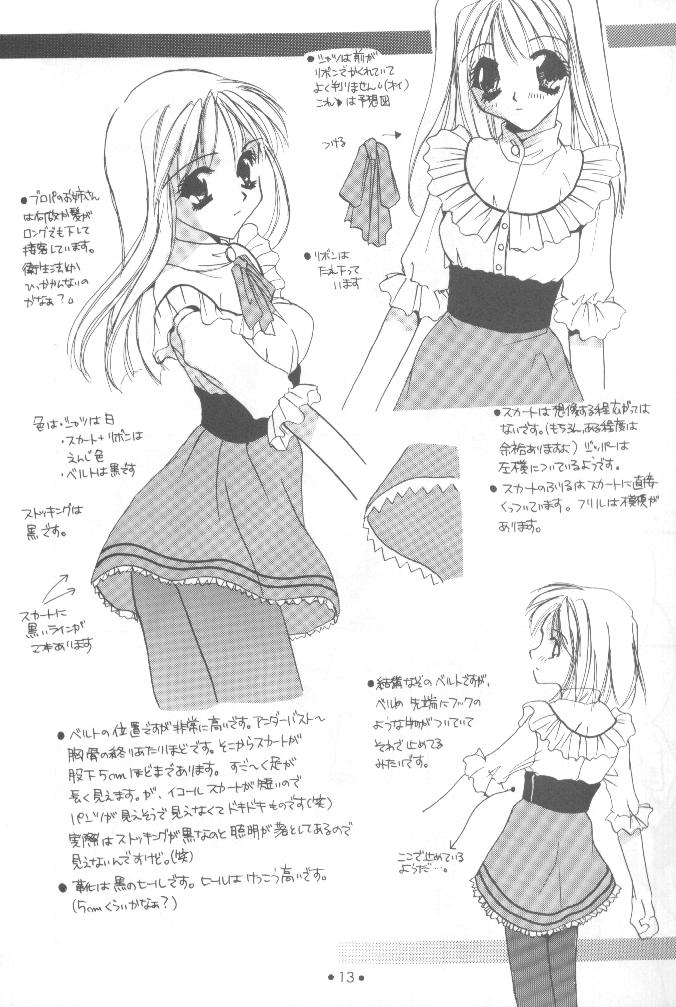 【デジタル恋人】制服王設定資料集